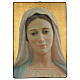 Quadro rachado impressão Nossa Senhora de Medjugorje 70x50 cm s1