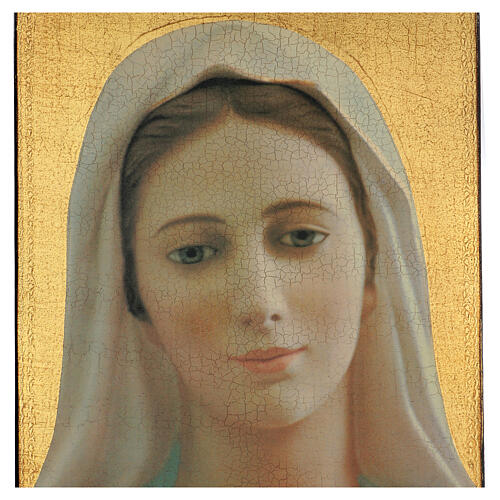 Our Lady of Medjugorje printed picture with cracked finish 27x19 in 2