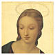 Quadro stampa su legno Madonna del Cardellino 35x25 cm s2