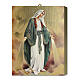 Tavola Lignea Icona Madonna Miracolosa Scatola Regalo 25x20 cm s1