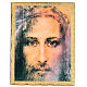 Impression bois Saint Suaire visage de Jésus 45x35 cm s1