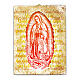 Lienzo de pintura Virgen de Guadalupe 25x20 cm s1