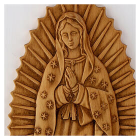 Baixo-relevo Nossa Senhora de Guadalupe madeira maciça 55x32 cm