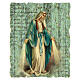 Vierge Miraculeuse tableau vintage 15x10 cm s1