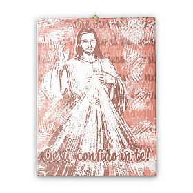 Gesù Misericordioso tela 40x30 cm