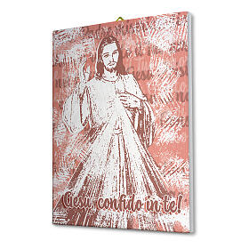 Gesù Misericordioso tela 40x30 cm