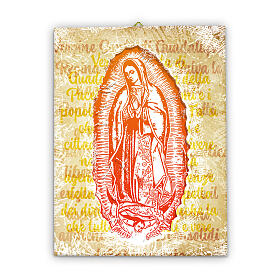 Virgen de Guadalupe lienzo 40x30 cm