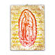 Madonna di Guadalupe tela pittorica 40x30 cm s1