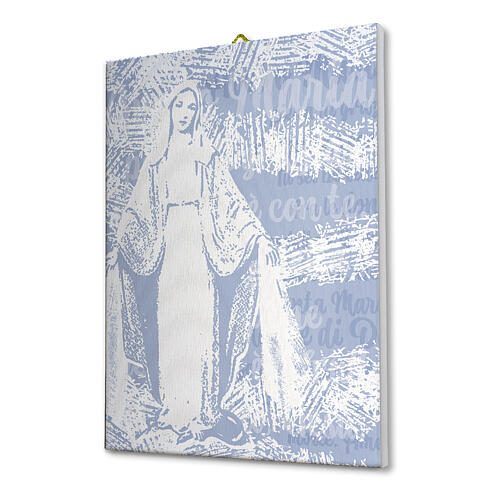 Tela Madonna Miracolosa 40x30 cm 2