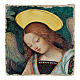 Angel by Pinturicchio, retouched detail, Bottega Tifernate, 3.5x3.5 in s1