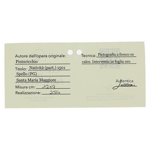 Angel of the Nativity by Pinturicchio, detail with Retouch finish, 3.5x5 in, Bottega Tifernate 3