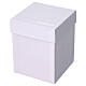 Lampada Angelo argentata LED 13x9 cm s6