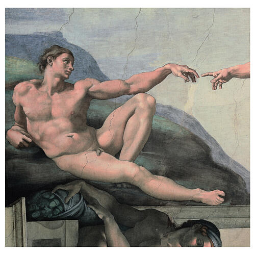 Creazione di Adamo Bottega Tifernate stampa su tela 50x70 cm 4