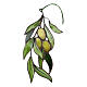 Coloured glass olive branch s1