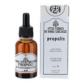Camaldoli Propolis alcoholic solution 30ml s1