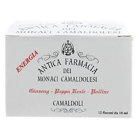Reinvigorating drink honey, royal jelly, ginseng - Camaldoli