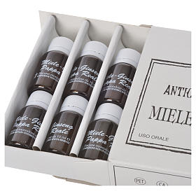 Rimedi Naturali: Integratore Fiale miele pappa reale ginseng Camaldoli