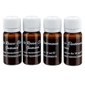Vitamin supply Ginkgo Biloba, Eleutherococcus, red grapevine and Guarana