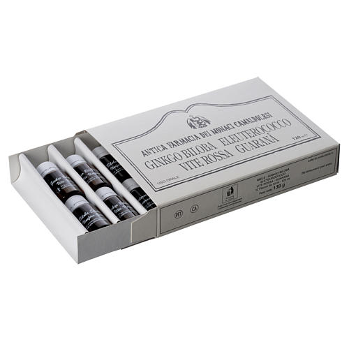 Vitamin supply Ginkgo Biloba, Eleutherococcus, red grapevine and Guarana 3