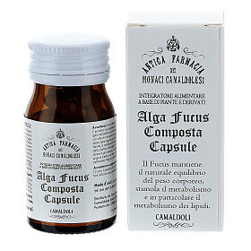 Bladderwrack supplement capsules 50 pcs Camaldoli