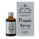Nahrungsergänzungsmittel, mit Propolis, ohne Alkohol, 30 ml, Kloster Camaldoli s1