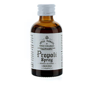 Alcohol-free propolis food supplement Camaldoli 30 ml