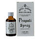 Alcohol-free propolis food supplement Camaldoli 30 ml s1