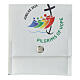Bustina rosario Giubileo Pellegrini Speranza 8x9 cm INGLESE s1