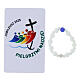 Single decade rosary of Jubilee 2025 with card, glass beads s9