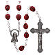Rosary in glass with 6x5 mm ladybug-shaped grains s1