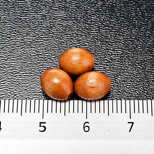Rosary parts, oval natural wooden beads 3