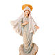 Madonna of Medjugorje rosary-case s2