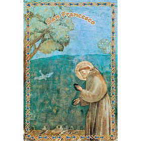 Image pieuse St François le prêche aux oiseaux