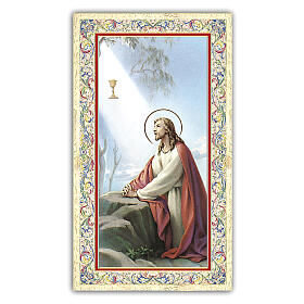 Heiligenbildchen, Christus im Garten Gethsemane, 10x5 cm, Gebet in italienischer Sprache