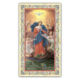 Heiligenbildchen, Maria Knotenlöserin, 10x5 cm, Gebet in italienischer Sprache