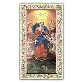 Image votive Marie qui défait les noeuds 10x5 cm
