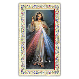 Holy card, Divine Mercy, Chaplet of the Divine Mercy ITA, 10x5 cm
