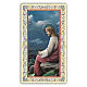 Holy card, Christ praying in the Gethsemane, Act of Contrition ITA, 10x5 cm s1