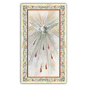 Heiligenbildchen, Heiliger Geist, 10x5 cm, Gebet in italienischer Sprache
