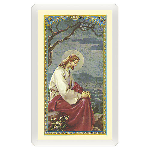 Image dévotion Jésus priant dans le jardin de Gethsémané Acte de Contrition ITA 10x5 cm 1