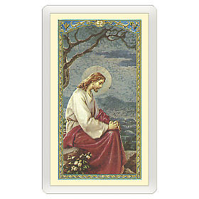 Holy card, Jesus praying in the Gethsemane, Act of Contrition ITA 10x5 cm