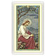 Holy card, Jesus praying in the Gethsemane, Act of Contrition ITA 10x5 cm s1