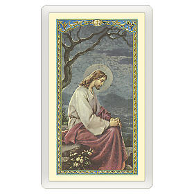 Holy card, Jesus in the Gethsemane, Prayer for Those Who Cry ITA 10x5 cm