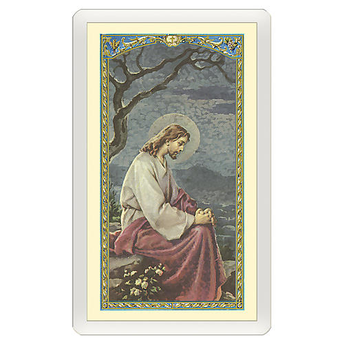 Holy card, Jesus in the Gethsemane, Prayer for Those Who Cry ITA 10x5 cm 1