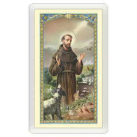 Holy card, Saint Francis and the wolf, Rainbow Bridge ITA, 10x5 cm