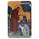 Immagine sacra San Francesco con animali e medaglia in metallo 10x5 cm s1