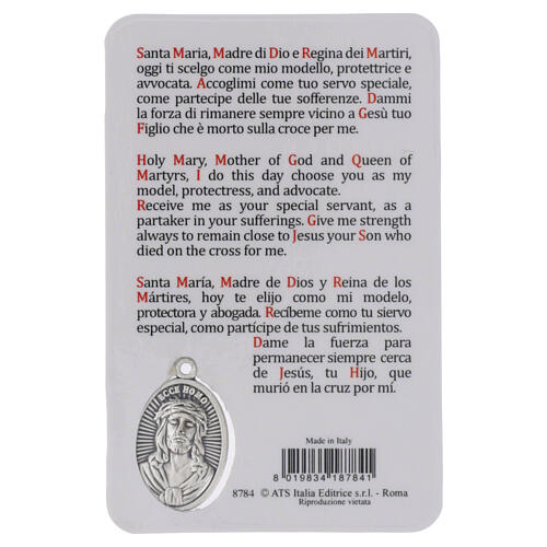 Image plastifiée Notre-Dame des Douleurs avec médaille en métal et prière 10x5 cm 2
