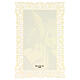 Image pieuse de Saint Albert le Grand avec décoration en dentelle 11x7 cm s2