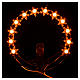 Stellario luminoso Lampadine stelline s4