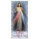 Segnalibro carta perlata Gesù Misericordioso 15x5 cm ITA s1